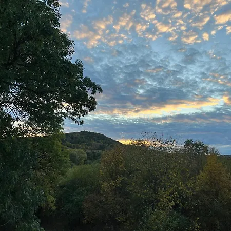 In The Nature * Vroutek