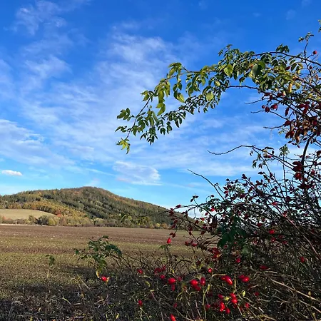 Apartamento In The Nature *