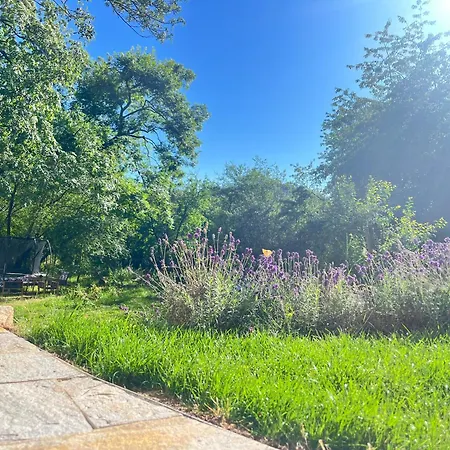 In The Nature *