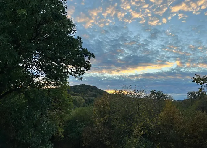 In The Nature * Vroutek