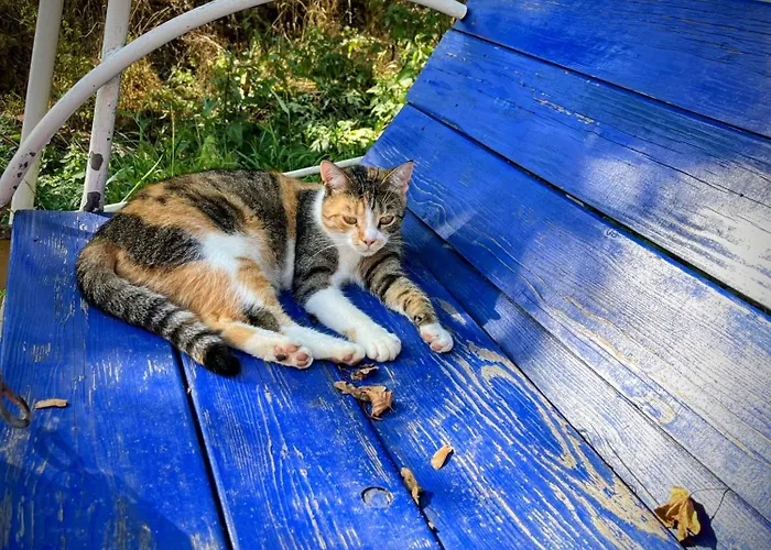 In The Nature Apartmán