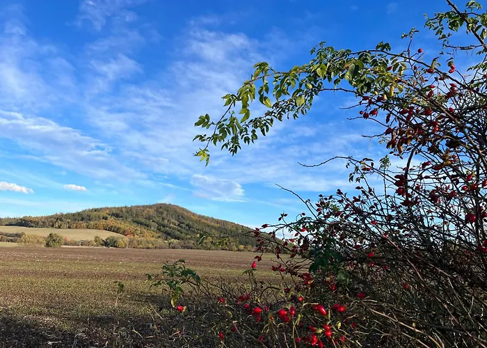 Apartamento In The Nature *
