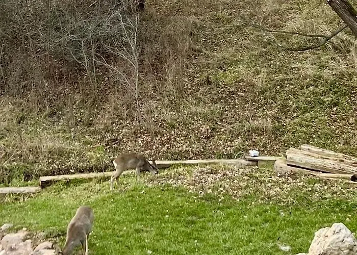 In The Nature Apartamento